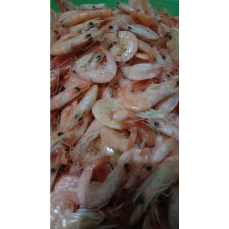 

udang swallow kering