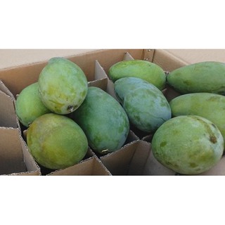 DUTA BUAH mangga harum manis premium {900g-1kg} | Shopee ...