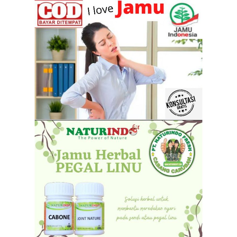 

Obat Pegal Linu Linu Badan Sakit Capek Kaku Jamu Herbal Letih Naturindo Cabone Joint Nature