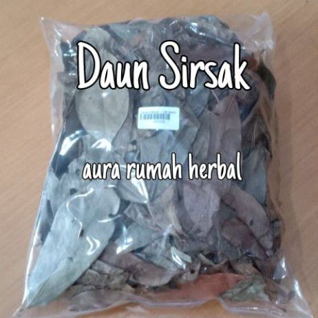 DAUN SIRSAK KERING