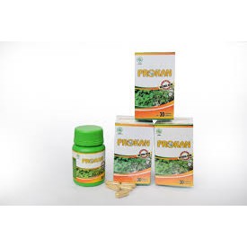 AGARILLUS Prokan Herbal 1 Botol/30 kapsul Obat Kanker