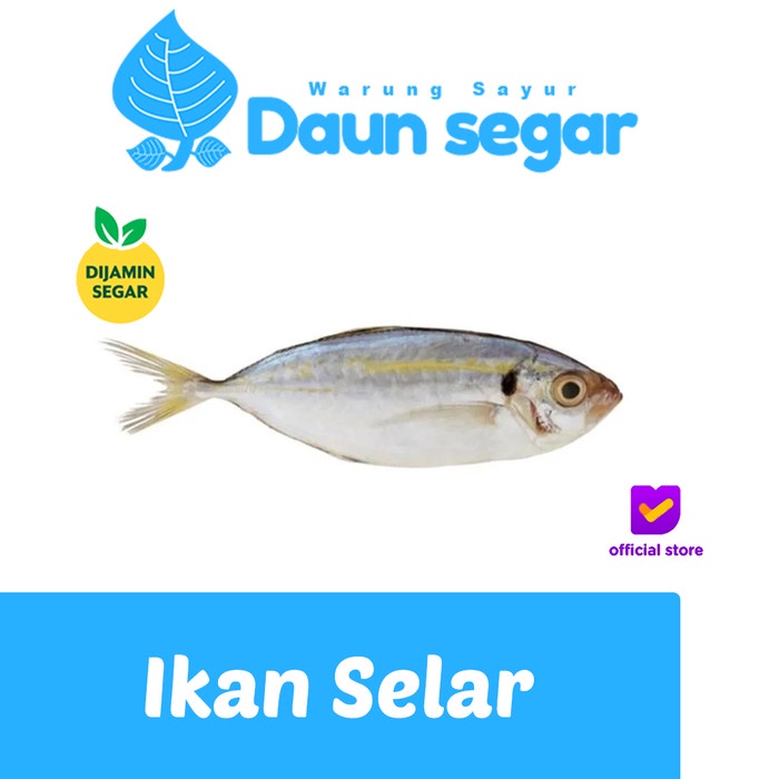 

Ikan Selar 1/4kg Dijamin Super Fresh