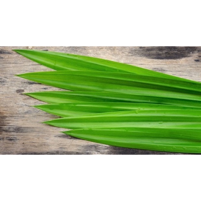 

Daun Pandan Jumbo Organik