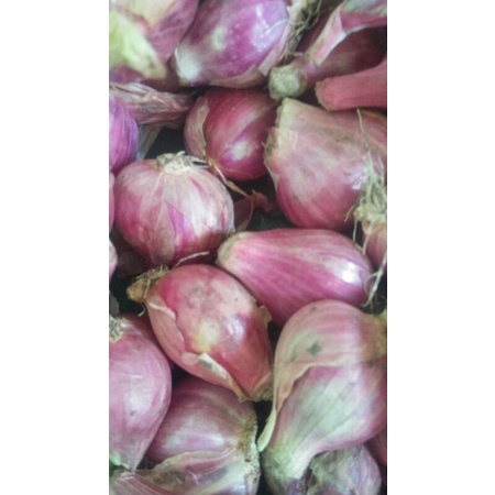 

Bawang