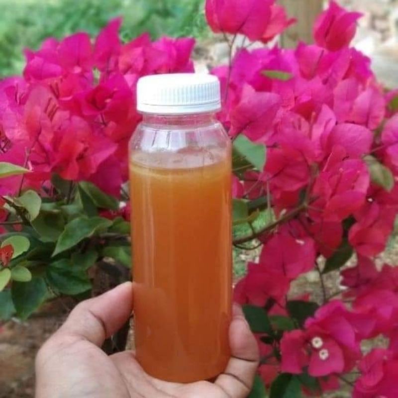 

Madu Hutan liar madu odeng raw honey Asli Murni 250 ml