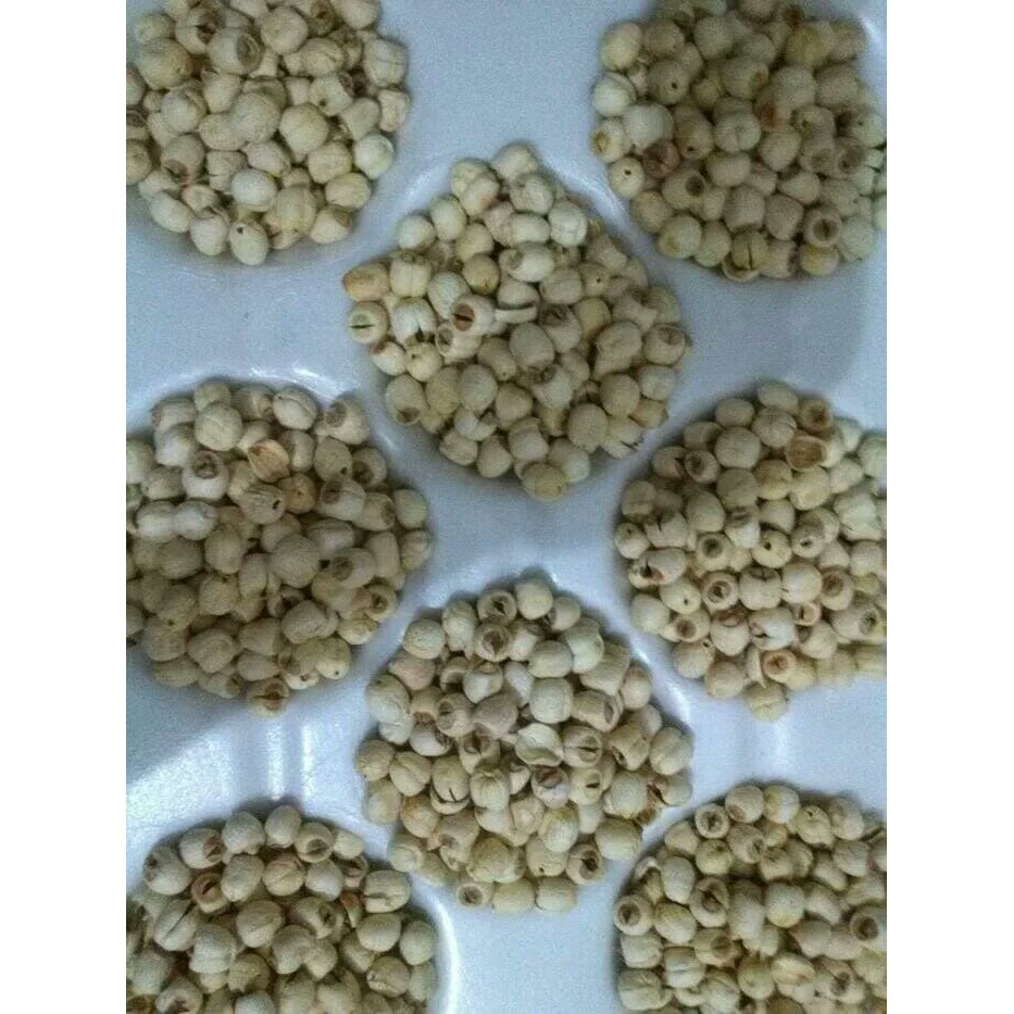 

10 G 50 GR 100 GRAM 白莲子 BAI LIAN ZI BIJI TERATAI KERING LIAN ZHI LIEN CI