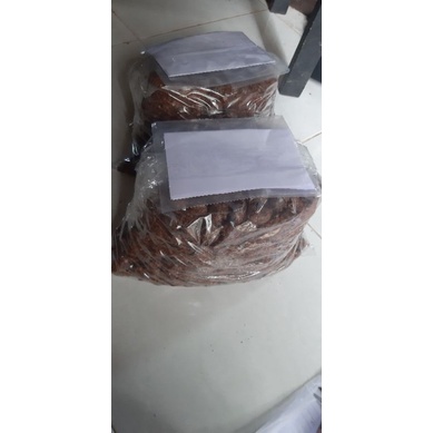 Biji Bibit Karet BPM 24 Medan Unggul 500 biji