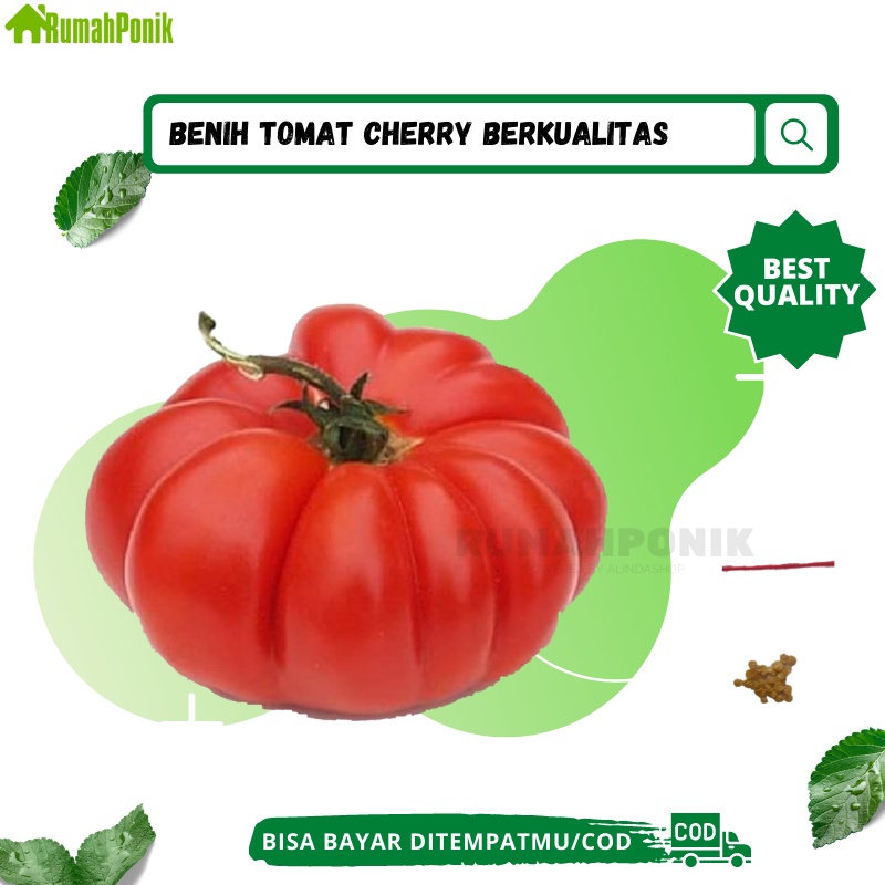 Puluhan Benih Sayuran Buah Tomat Mawar / Benih Tomat Mawar / Bibit Tomat Mawar