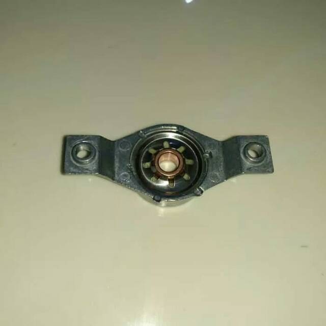 Bos Kuping Kipas Angin / Bos Kipas Angin