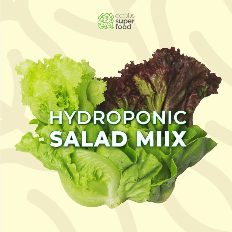 

Hydroponic Salad Mix