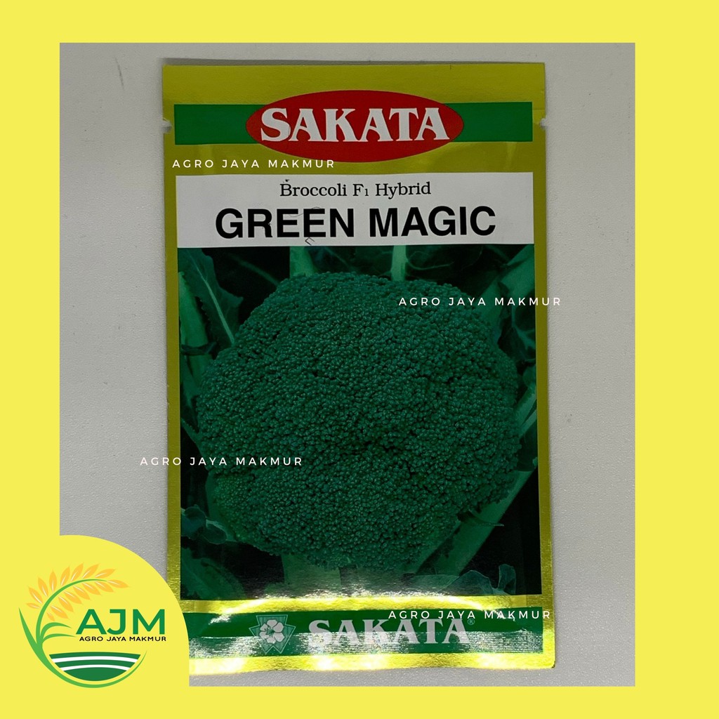 Benih Brokoli Green Magic Hibrida F1 Green Magic 2000 Biji Sakata Seed