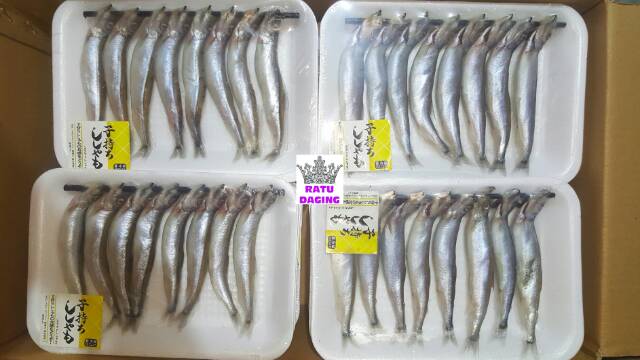 

Ay00! Shisamo Fish / Ikan Capelin 200gr - Jaminan Gendut" & Telurnya Banyak