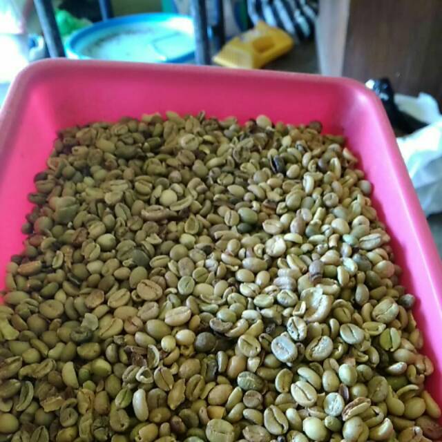 

Kopi exselsa / lesah