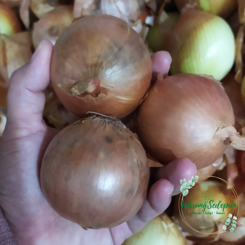 

Bawang Bombay Segar 500 gr Bawang Bombay Gede