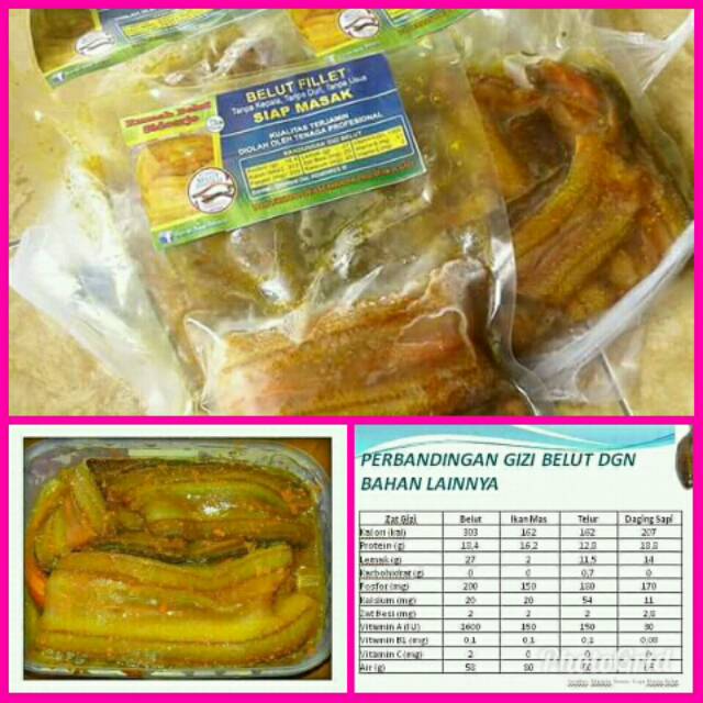 Belut fillet