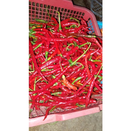 

CABE MERAH 100GR