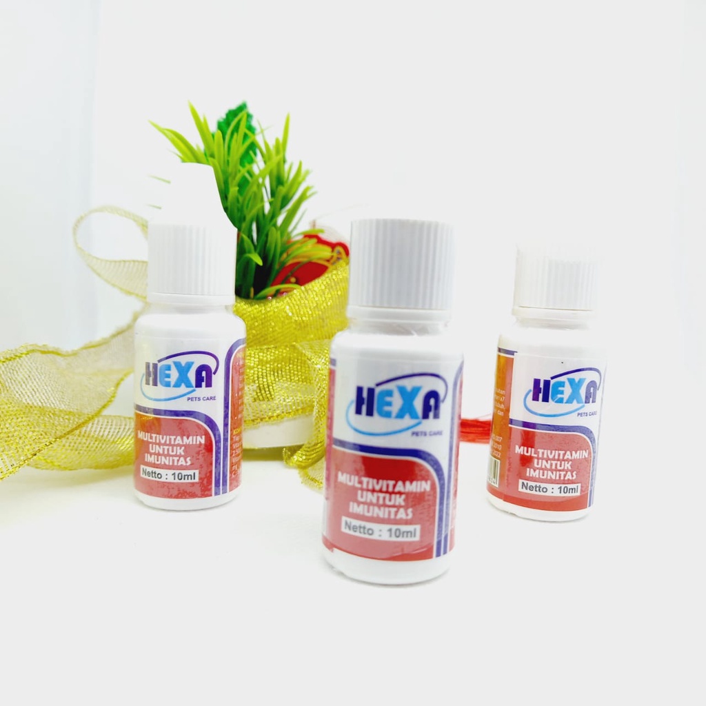 Hexa multivitamin untuk imunitas 10ml