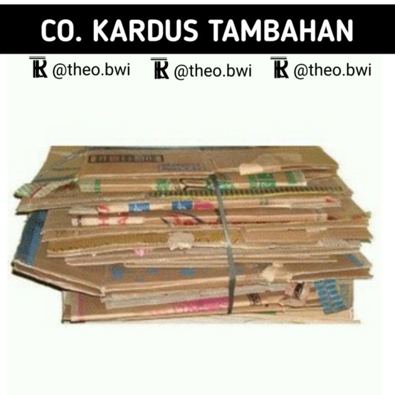 

KARDUS TAMBAHAN PACKING BIAR LEBIH AMAN DI PERJALANAN EXPEDISI |CO THEO R
