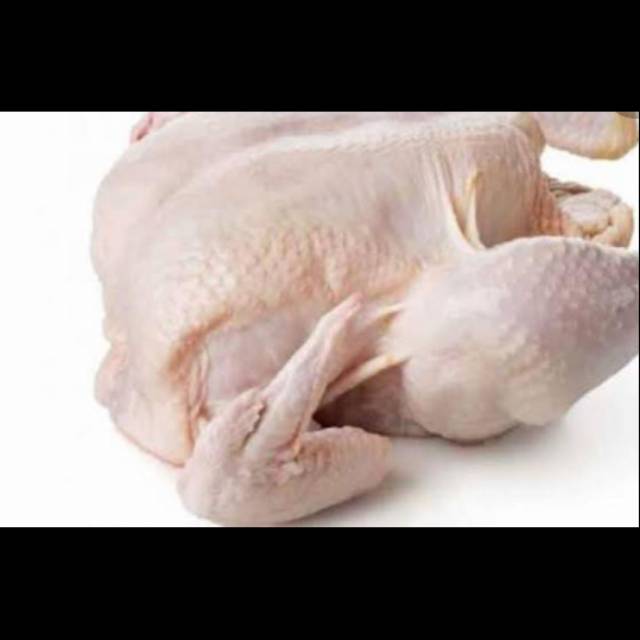 

Ayam segar utuh