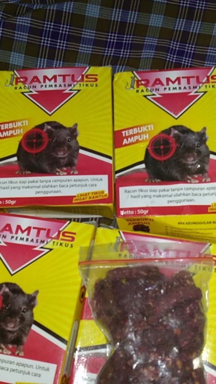 Ramtus Racun Tikus Ampuh Mati Kering Tidak Bau Pembasmi Curut Wirog Mencit Dirumah Di Mobil 4 Pack