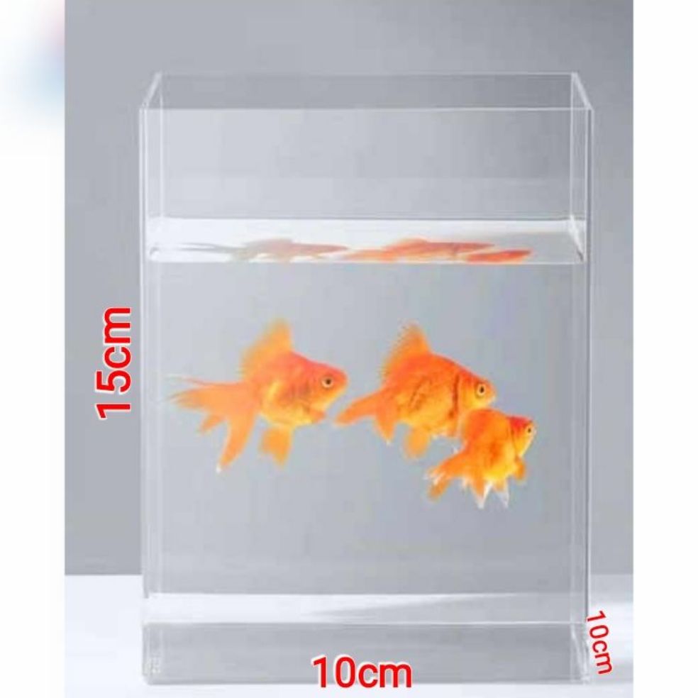 Aquarium Mini Akrilik