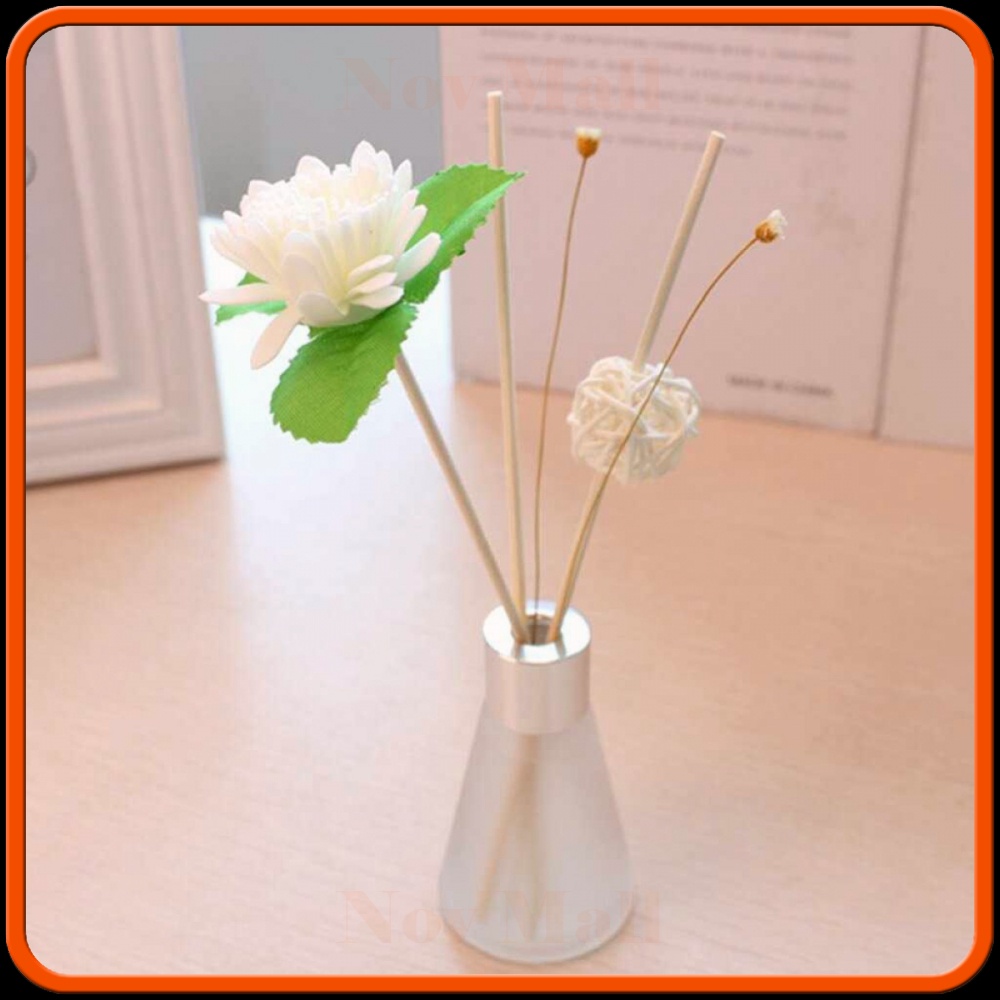 Parfum Ruangan Aroma Diffuser Reed Rattan Sticks 50ml AM609