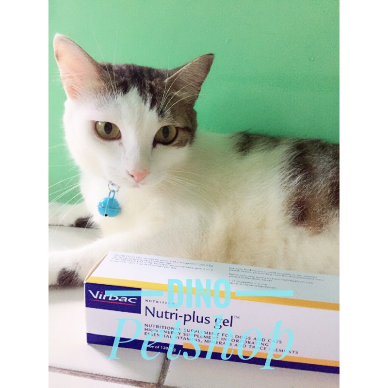 Nutri-Plus Gel