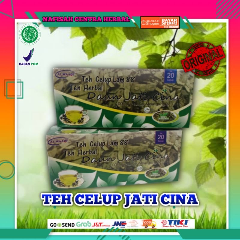 

Teh Celup Herbal Daun Jati Cina | 100% Berkhasiat Melangsingkan Tubuh