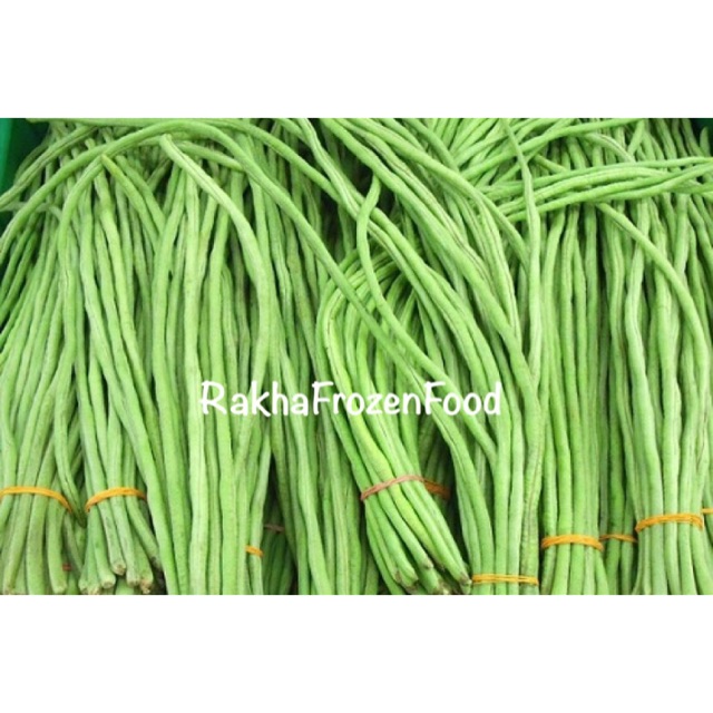 

Kacang Panjang