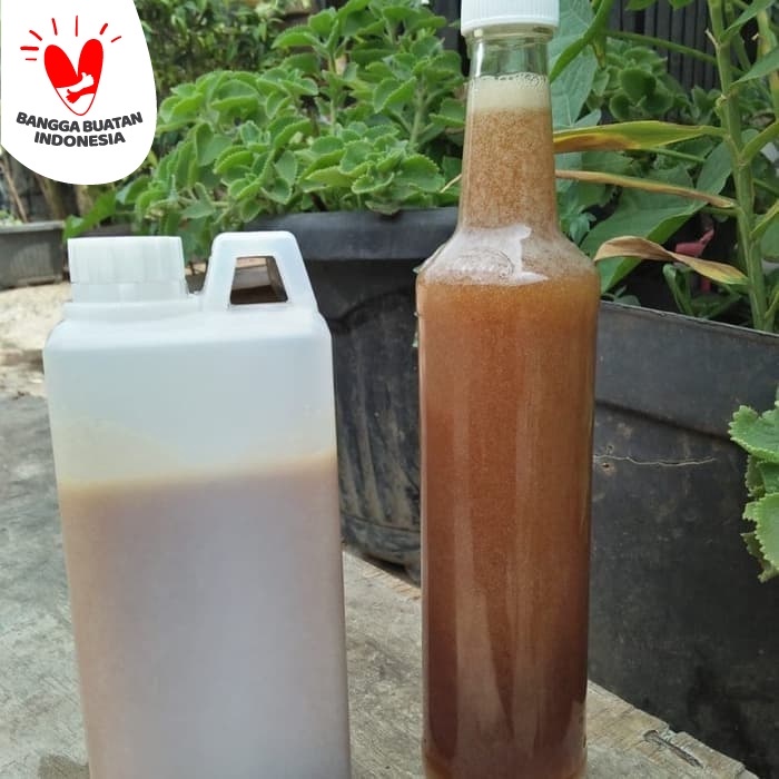 

madu- madu hutan sumatra 1kg (murni) -madu.