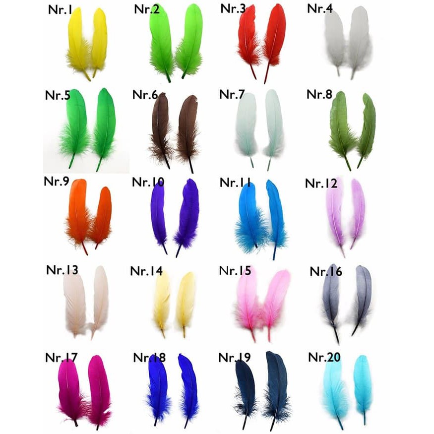 Goose Feather 15-20cm