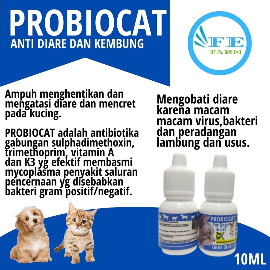 Obat Kucing Mencret Diare Gangguan Pencernaan Priobiocat Obat Diare Vitamin Pencernaan Anti Mencret