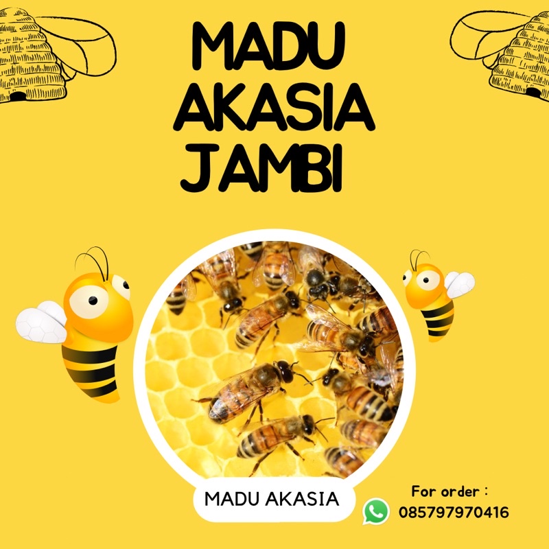 

Madu Akasia Murni Jambi