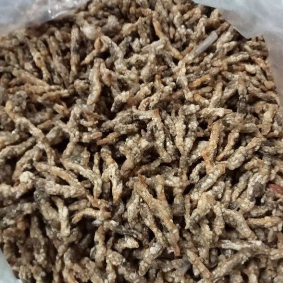 

Navi_Lezatoz Lorjuk Goreng Siap Saji / Kerang Bambu (100 Gram)