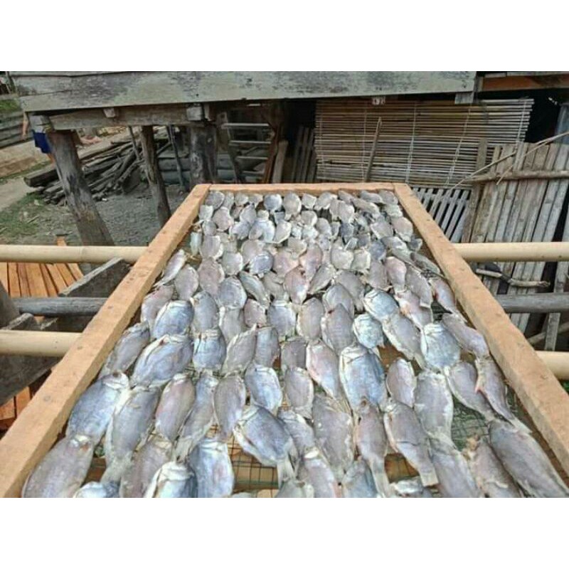 

ikan asin sepat