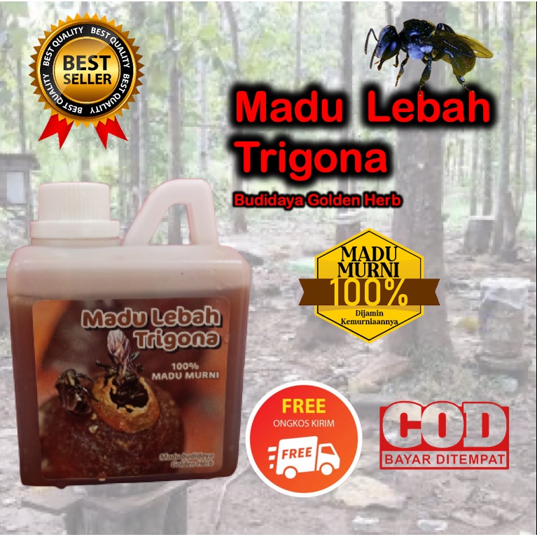 

MADU TRIGONA 500g