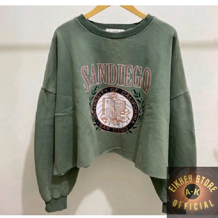 SANDIEGO CROOPE SWEATER VREWNECK