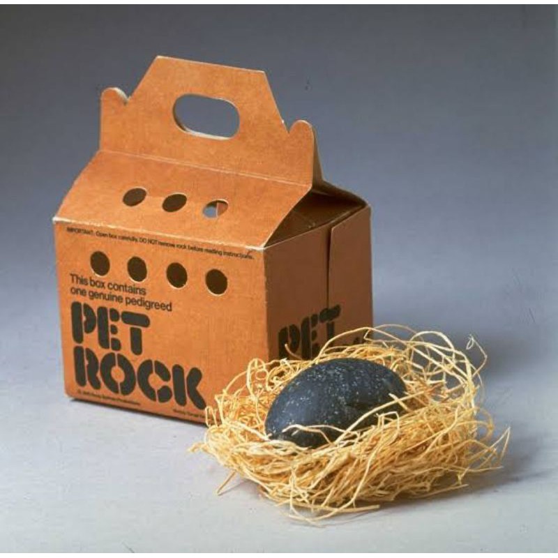 Pet Rock Special