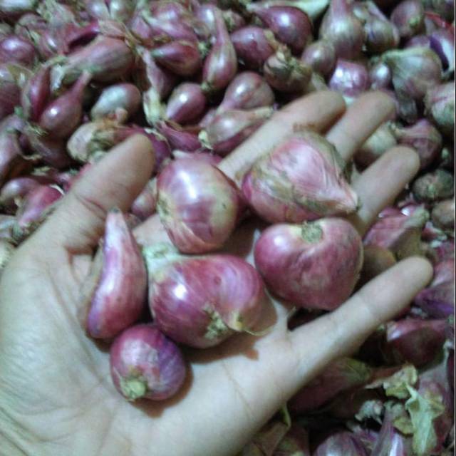 

Bawang merah sedang campur