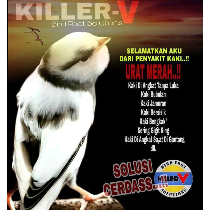 SALEP KAKI BURUNG KENARI - OBAT KAKI BURUNG KENARI - KILLER V