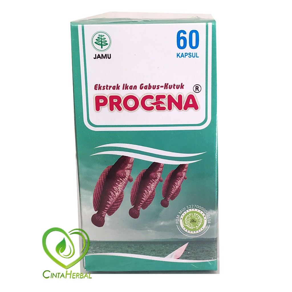 Jual Procena Ekstrak Ikan Gabus/Kutuk 60Kapsul | Shopee Indonesia