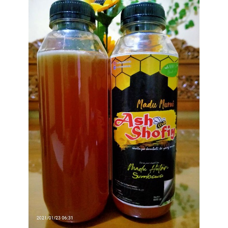 

madu hutan sumbawa