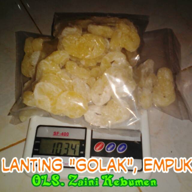

Lanting GOLAK, 1 kilogram, empuk, gurih. Khas Kebumen.