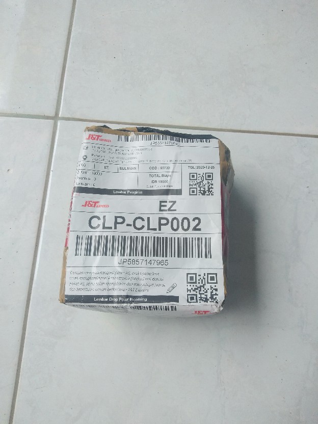 1 Umbi Lily Asiatic Starlette Impor, Stok Terbatas