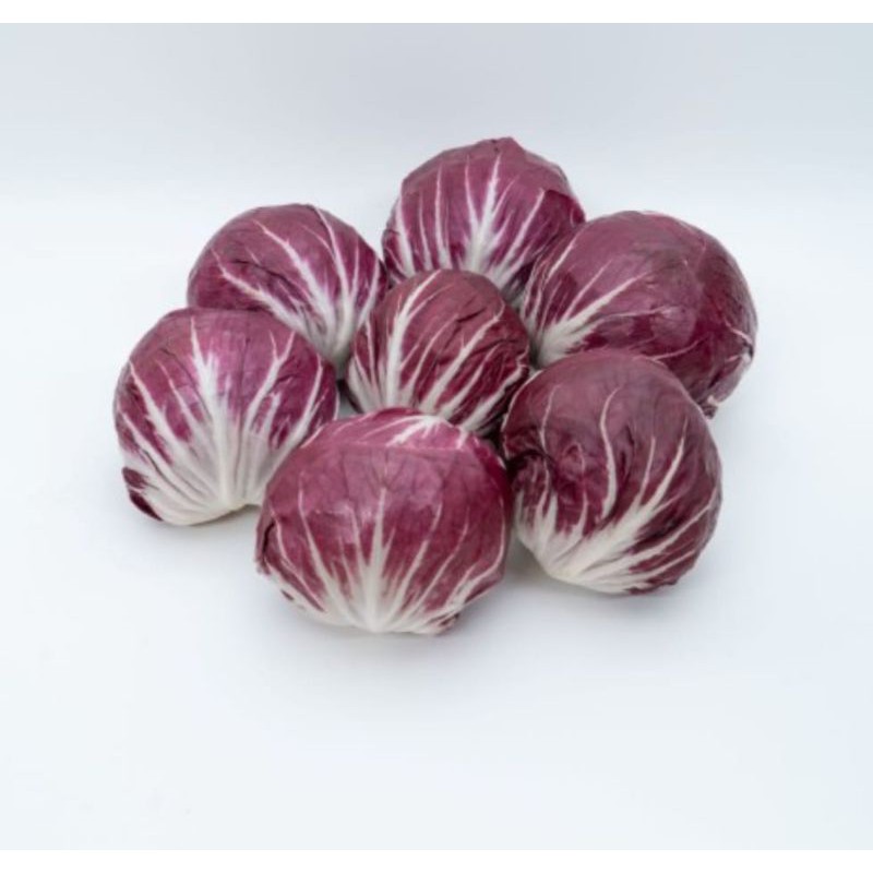 

Radicchio Hidroponik - 1kg