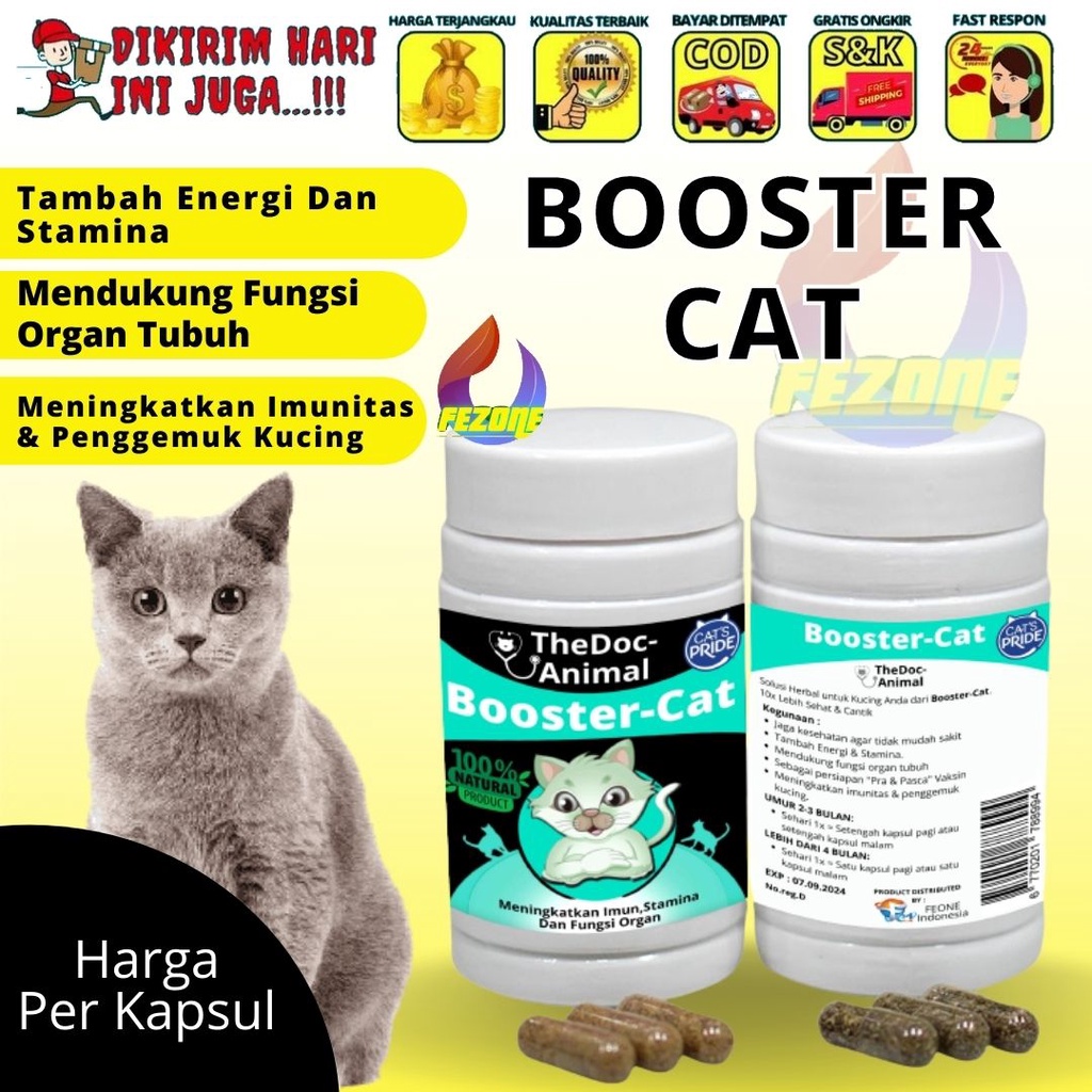 Vitamin Kucing Untuk Stamina Imunitas Dan Penggemuk Kucing FEZONE