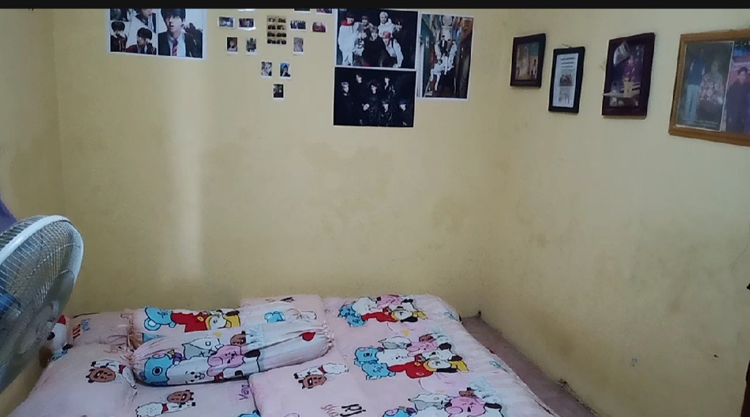 Sprei Bt21 Springtime Pink Star