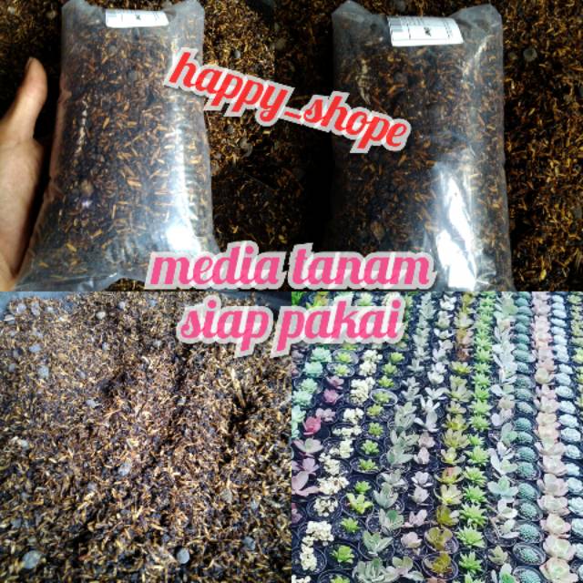 media tanam kaktus siap pakai 1kg