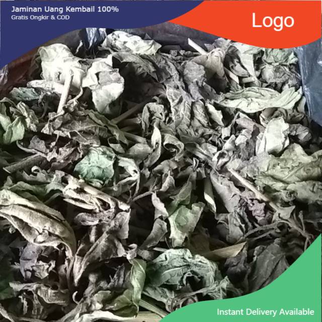 

Kirinyuh kering daunnya