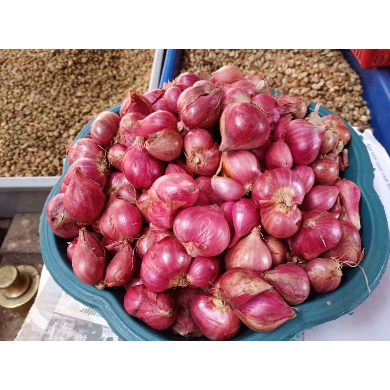 

brambang merah